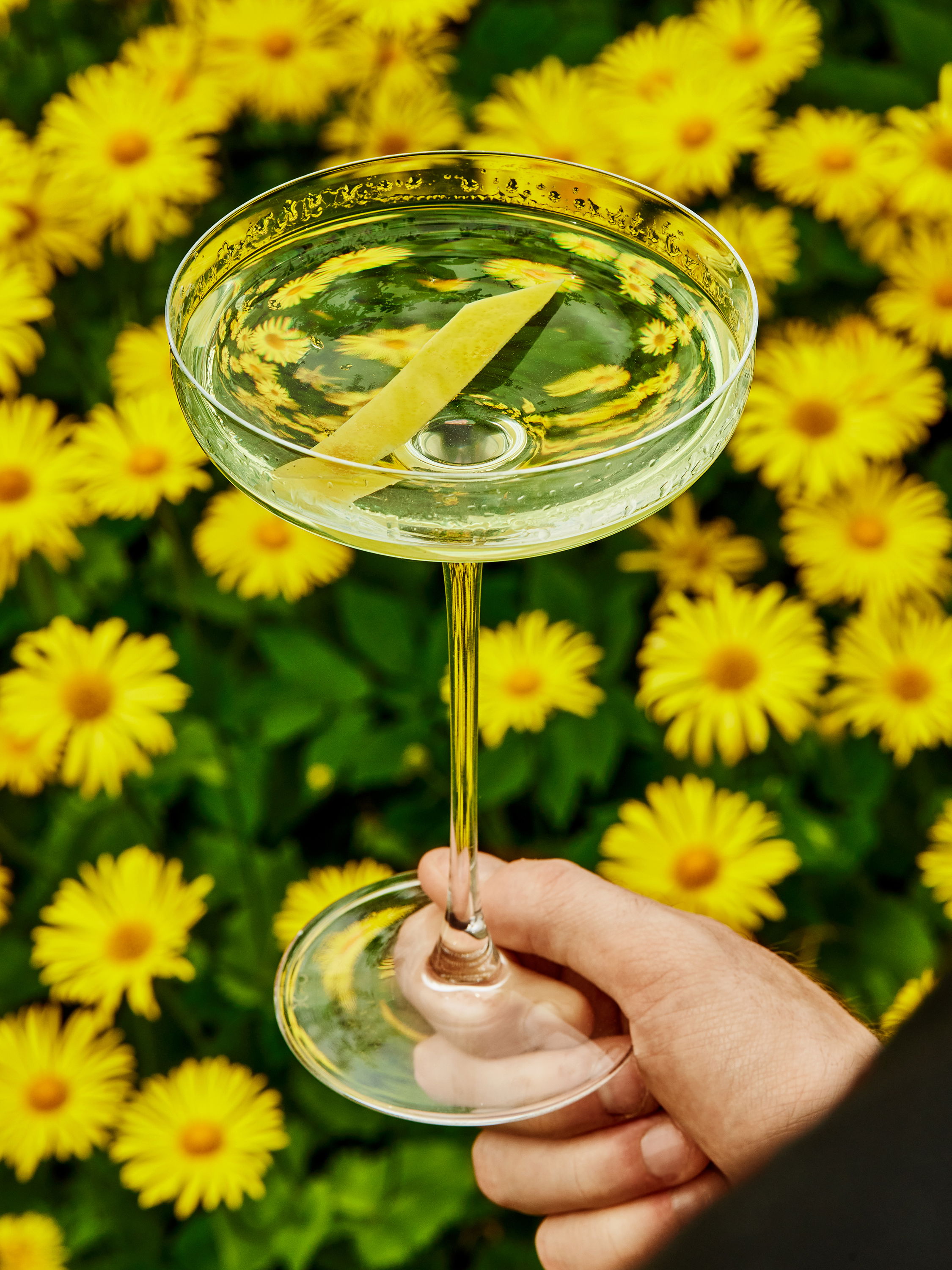 Bareksten Gin Grill 0523 14544