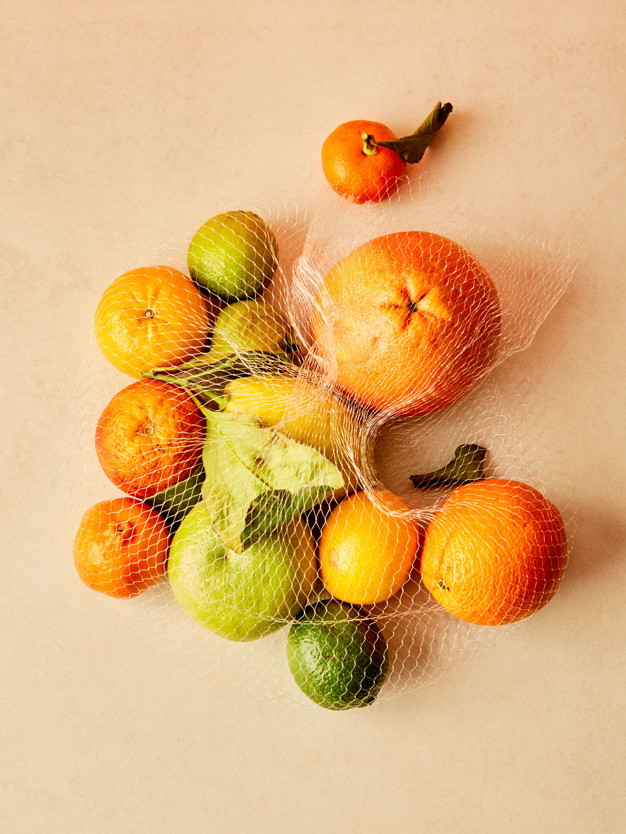 03 Kabaret Sitrus 02