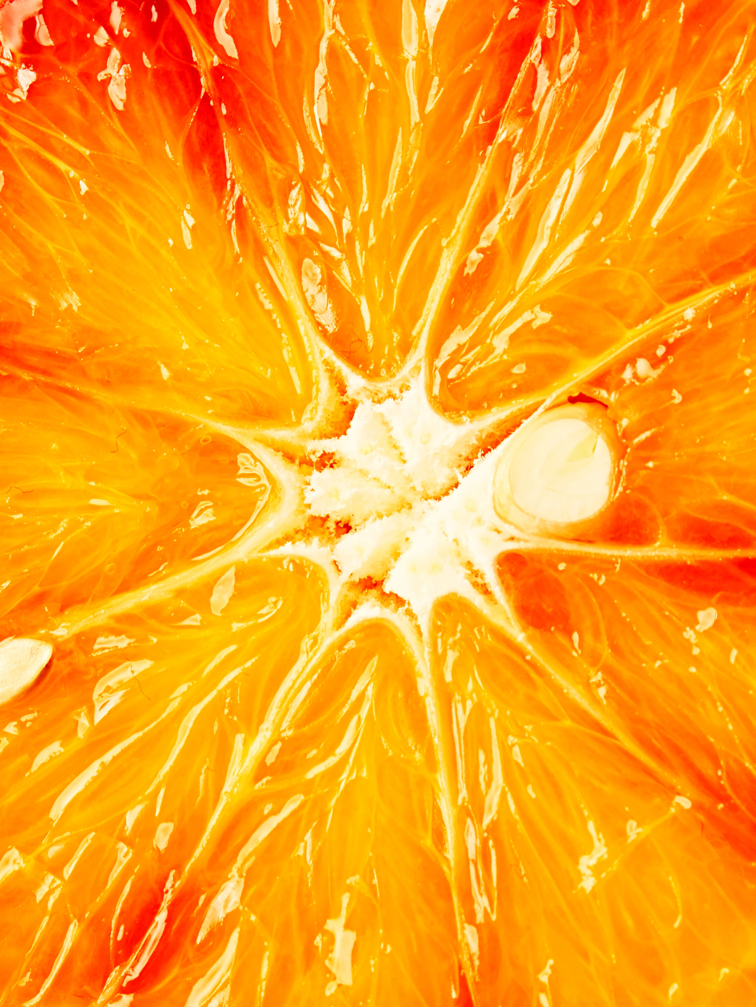 03 Kabaret Sitrus 05