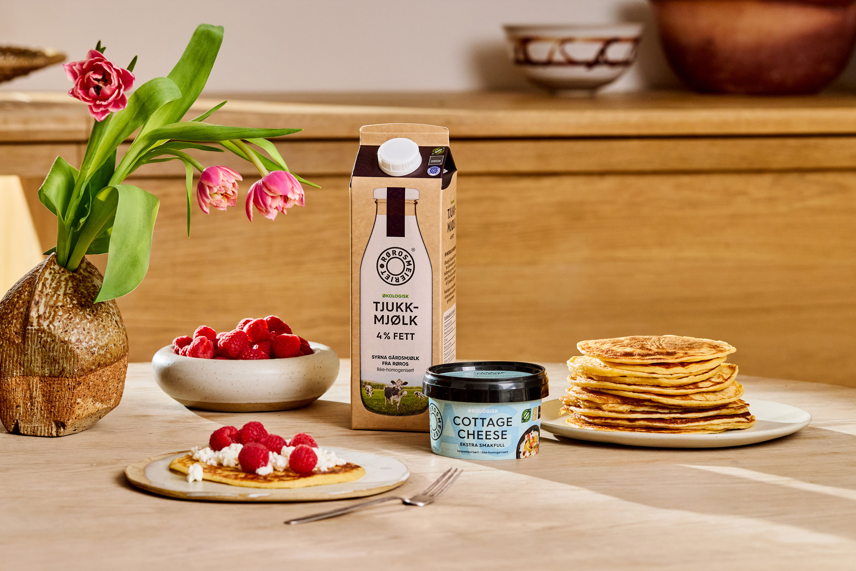 Panorama Rorosmeieriet 1125 4765