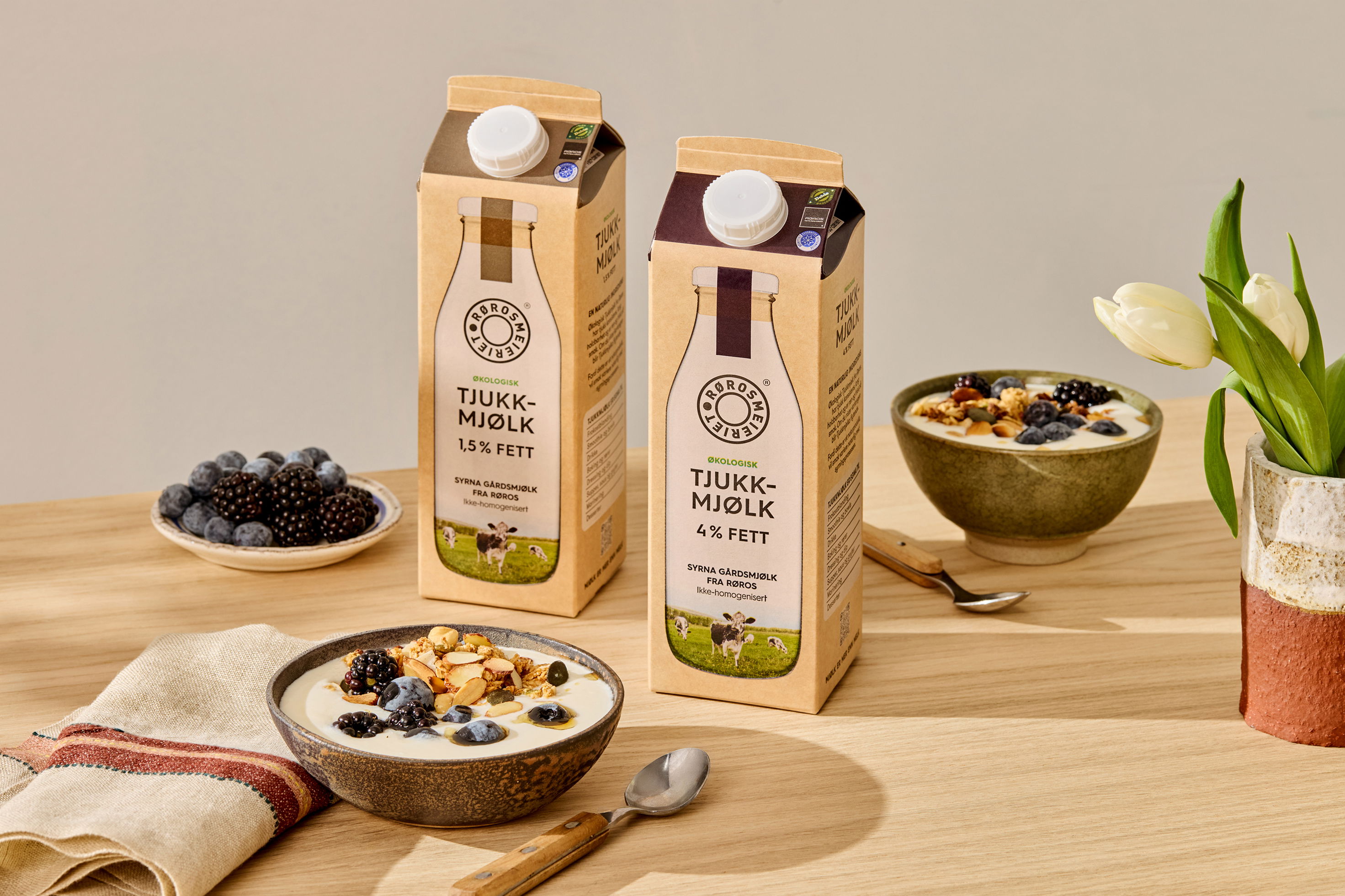 Panorama Rorosmeieriet 1125 5374