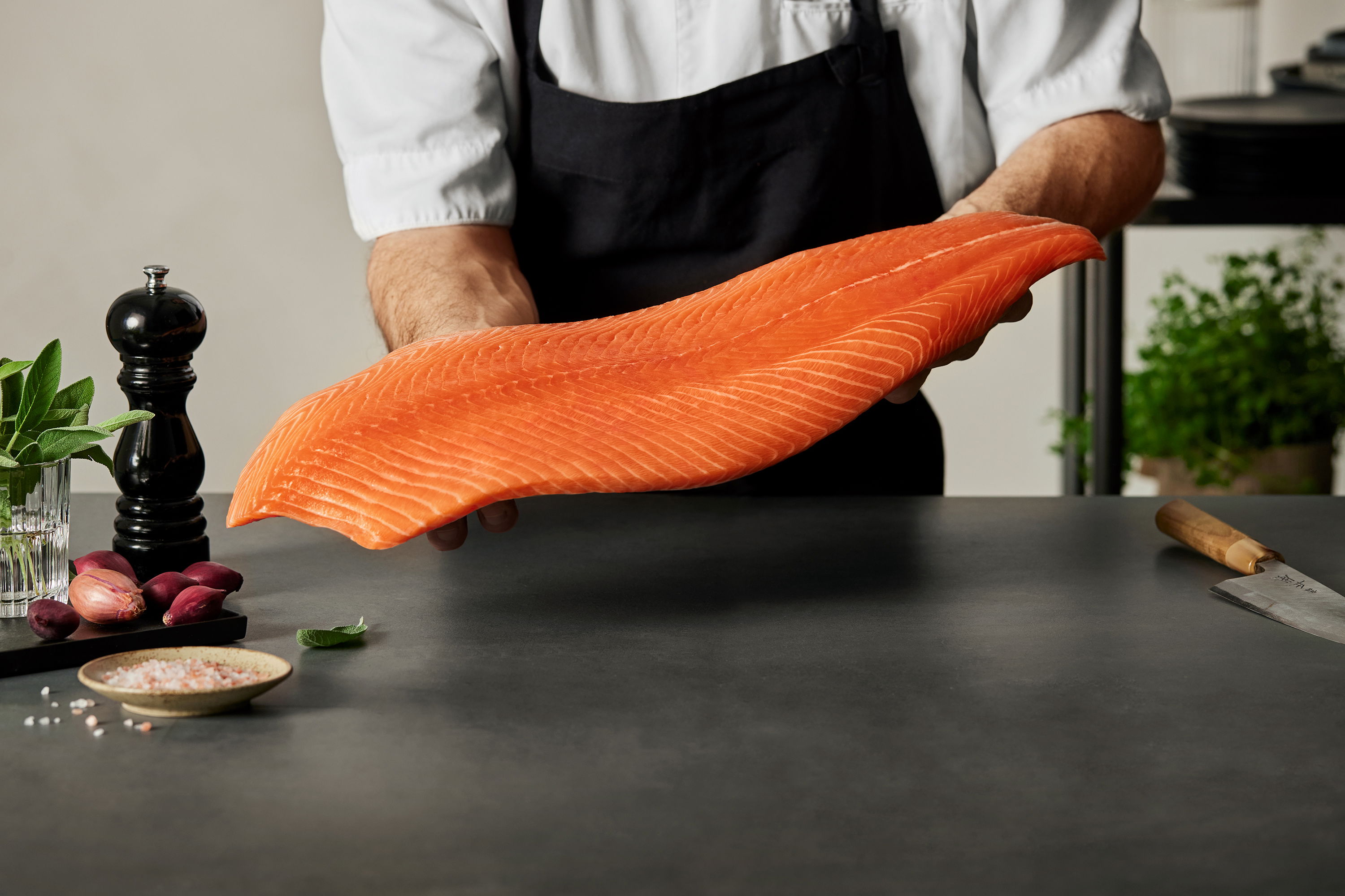 Mission Skuna Bay Salmon 0223 1918