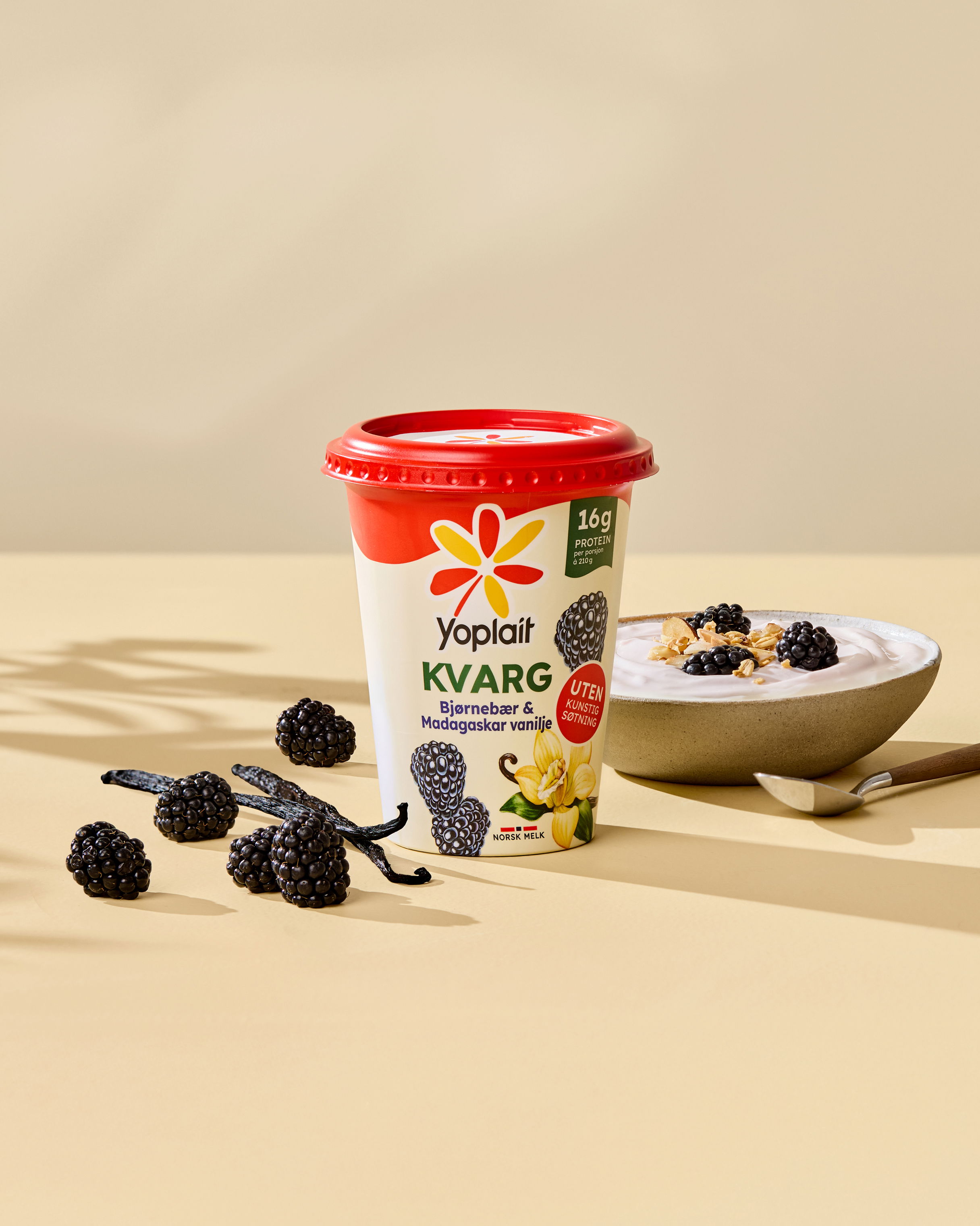 TRY Yoplait 0125 1410