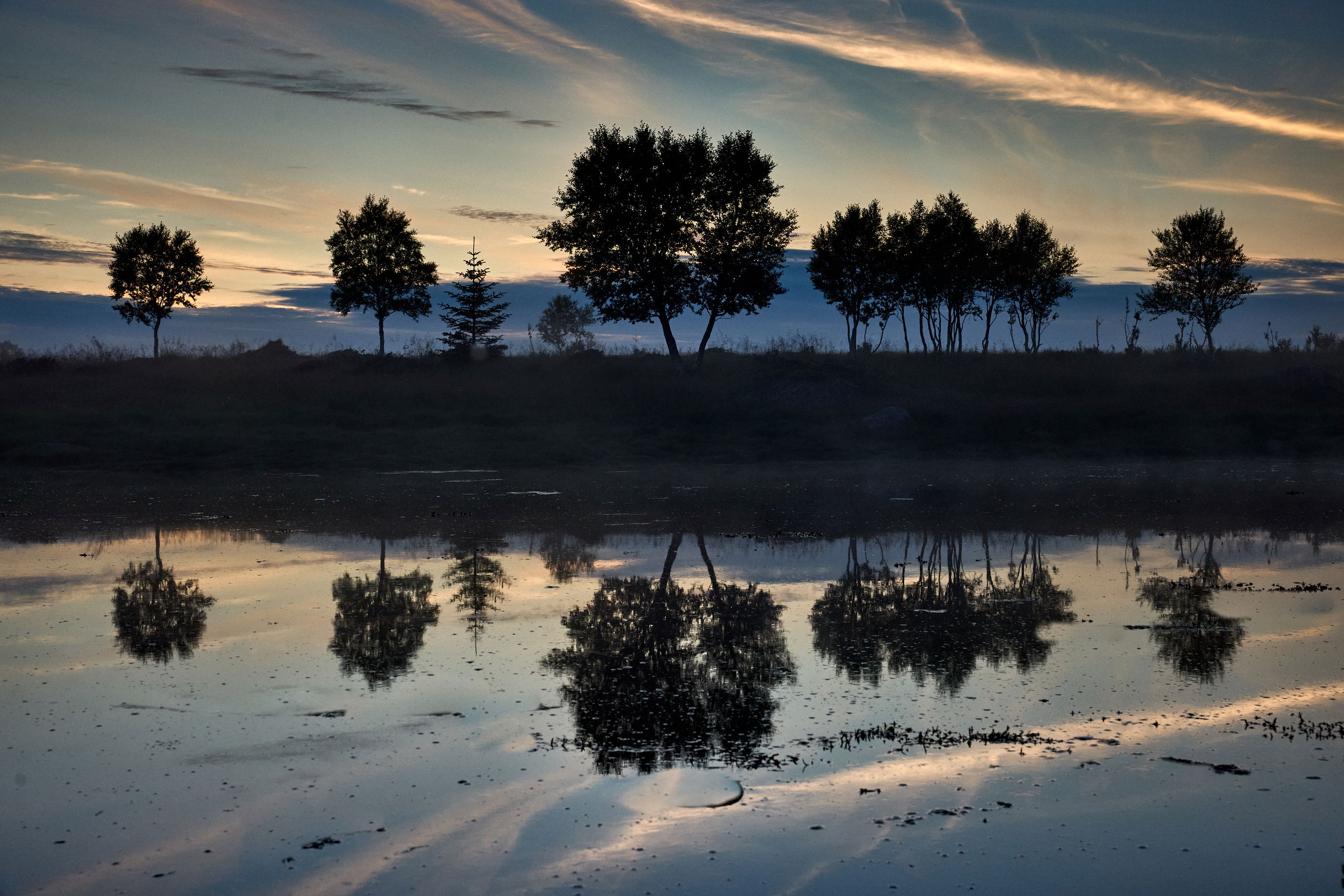 24035 Norgestur 2645