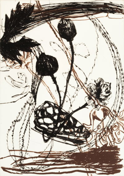 Adam Saks "Centrifuge"