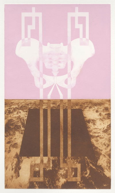 Anna Pajak, "Undreamed Waters", 2020
