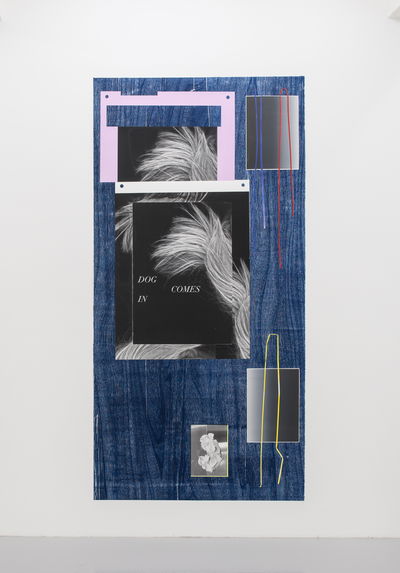 Ciara Phillips, "Dog Comes In", 2018