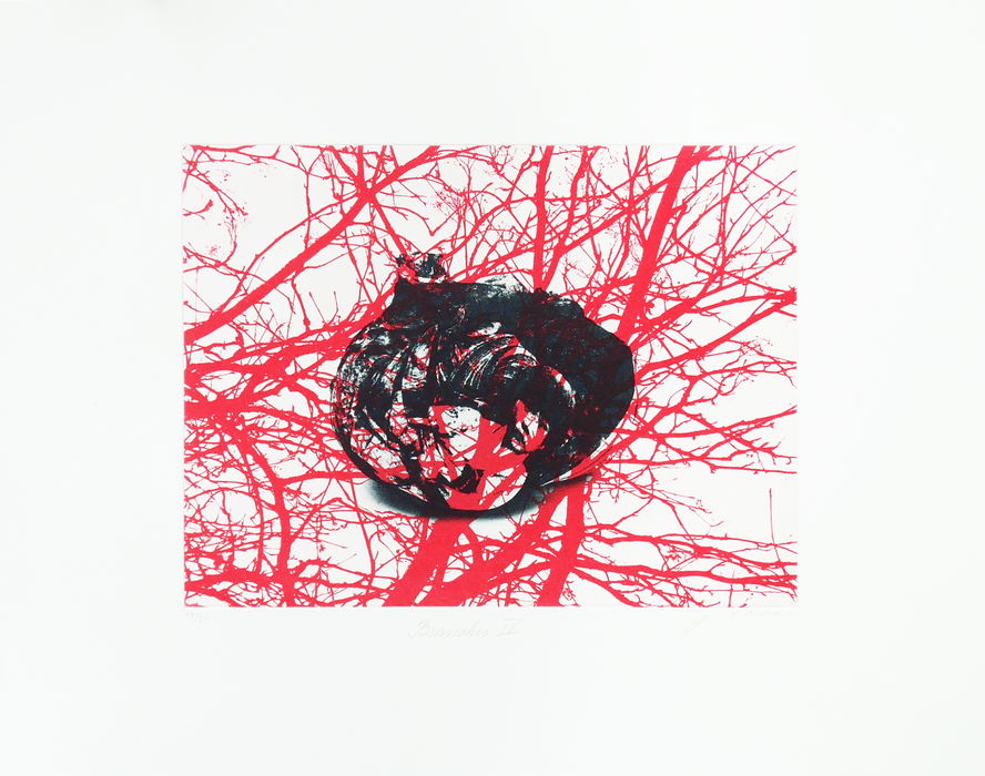 Emma Nishimura & HM Queen Sonja, Branches IV (double signature), 2018