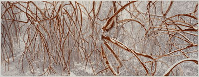 HM Queen Sonja, "Mangroves," 2015