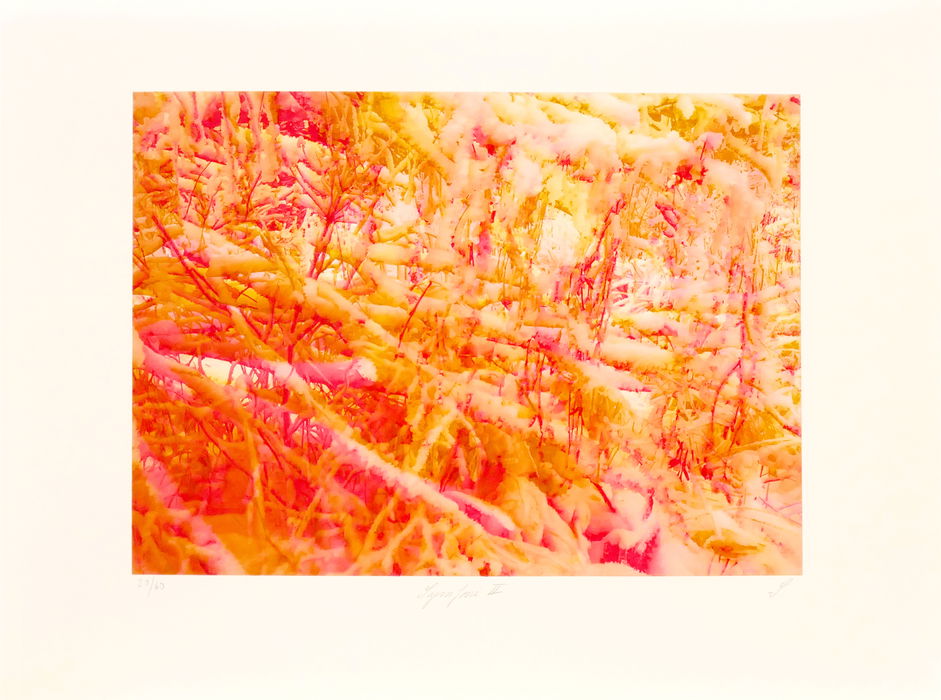 Symfoni II, 2015
