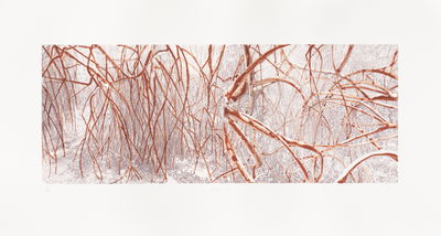 Mangroves, 2015
