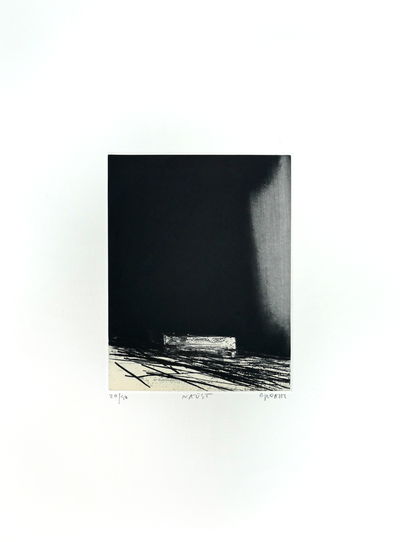 Ørnulf Opdahl, Naust (Boathouse), 2015