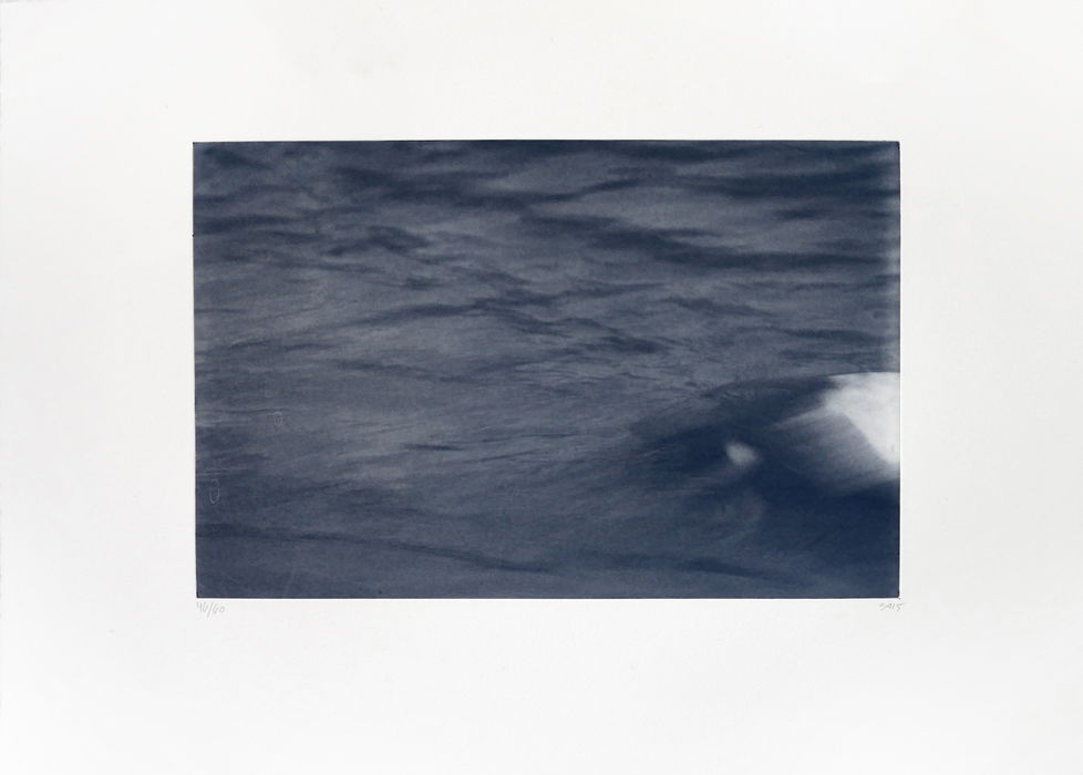 Svend-Allan Sørensen, Fuglar í Føroyum - Æ∂a (Birds of the Faroe Islands - Eider), 2015