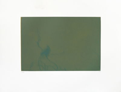Svend-Allan Sørensen, Fuglar í Føroyum - Kráka (Birds of the Faroe Islands - Crow), 2015