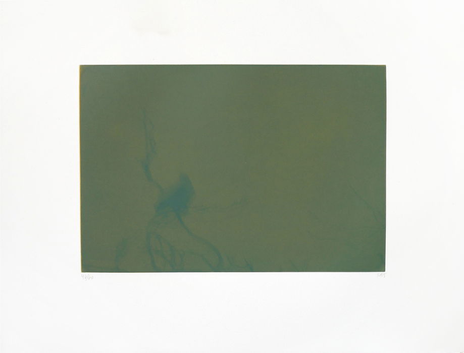 Svend-Allan Sørensen, Fuglar í Føroyum - Kráka (Birds of the Faroe Islands - Crow), 2015