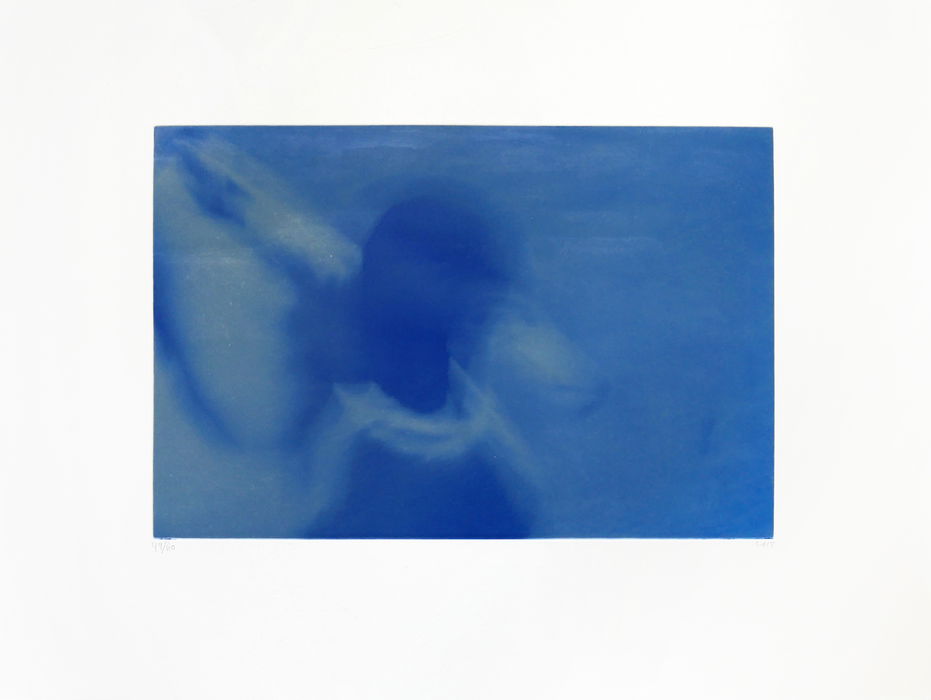 Svend-Allan Sørensen, Fuglar í Føroyum - Villdunna (Birds of the Faroe Islands - Mallard), 2015