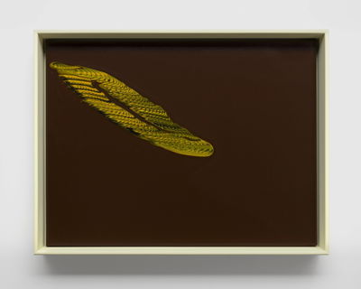 Tauba Auerbach, Extended Object, 2021