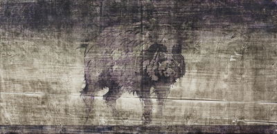 Umberto, Giovanni, "Nebbia" 2016