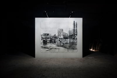 Kovach Taras, "Netri project", 2018