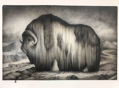 Malling Sverre, "Norwegian Muskox", 2018