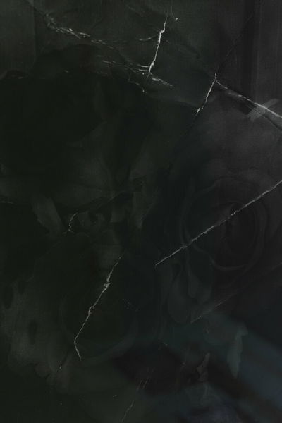 Eliyah Mesayer, "Thunderstorms and a waterfall of roses", 2019