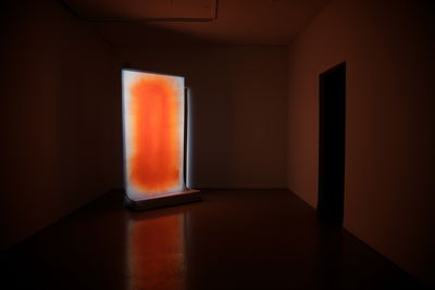 Sysi Suvi, "Ascend", 2020