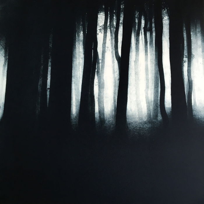 Duncan, Sarah, "Valo",