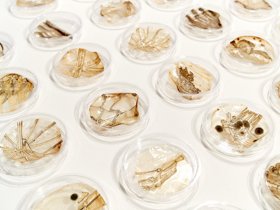 Ho-You, Jill, "Retrograde (detail)," 2019