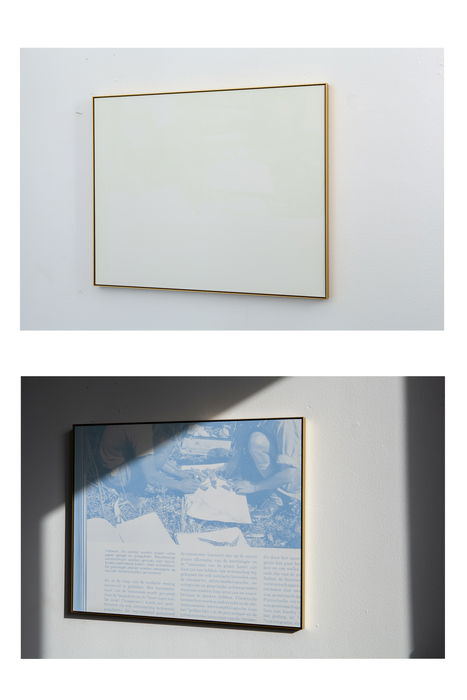 Marcke, Sarah van, ‘Winkler Prins van het Plantenrijk (Veldwerk)’, 2021