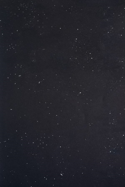 Vanni, Éugenia, "Xilofagia / Xilografia #2 (dark blue version)", 2018