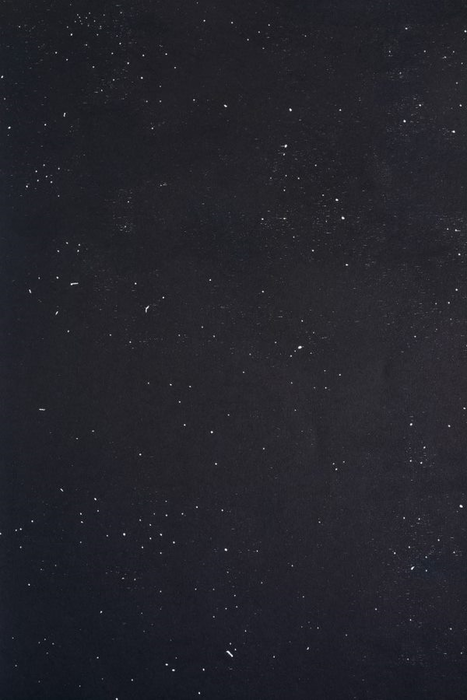 Vanni, Éugenia, "Xilofagia / Xilografia #2 (dark blue version)", 2018