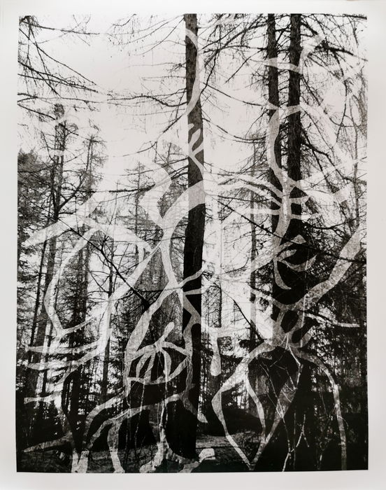 Meerke Laimi Thomasson Vekterli, Forestillingen I, 2020