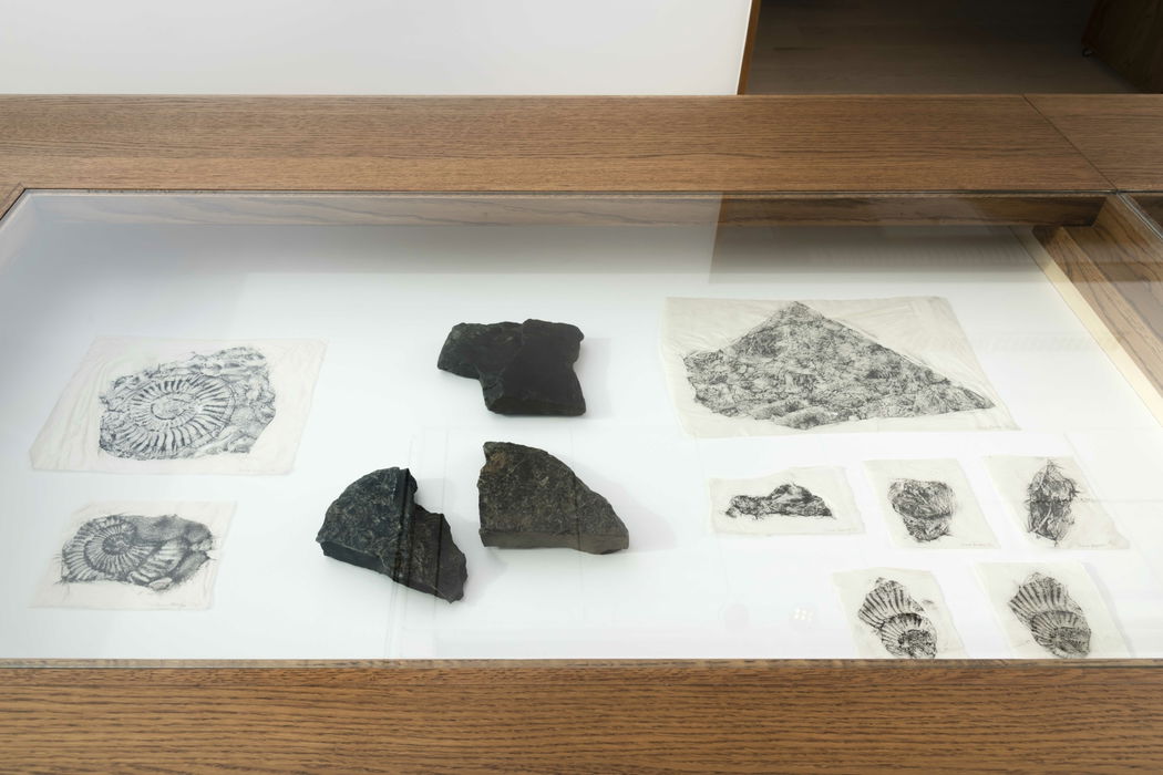 Photo: Øystein Thorvaldsen