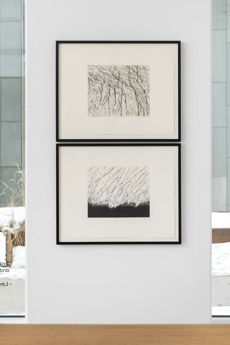 Photo: Øystein Thorvaldsen