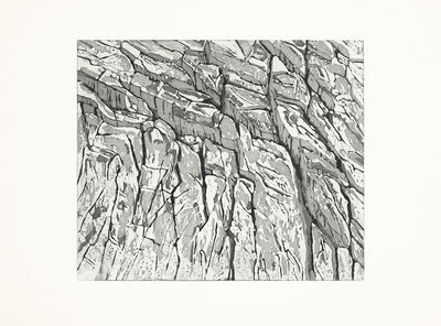 Ellen Karin Mæhlum, Icescape #1, 2018/2019