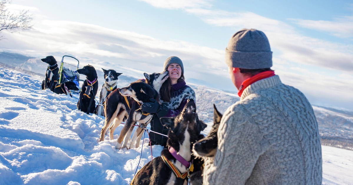 Dog Sledding on Rørosvidda Scenic Mountain Adventures