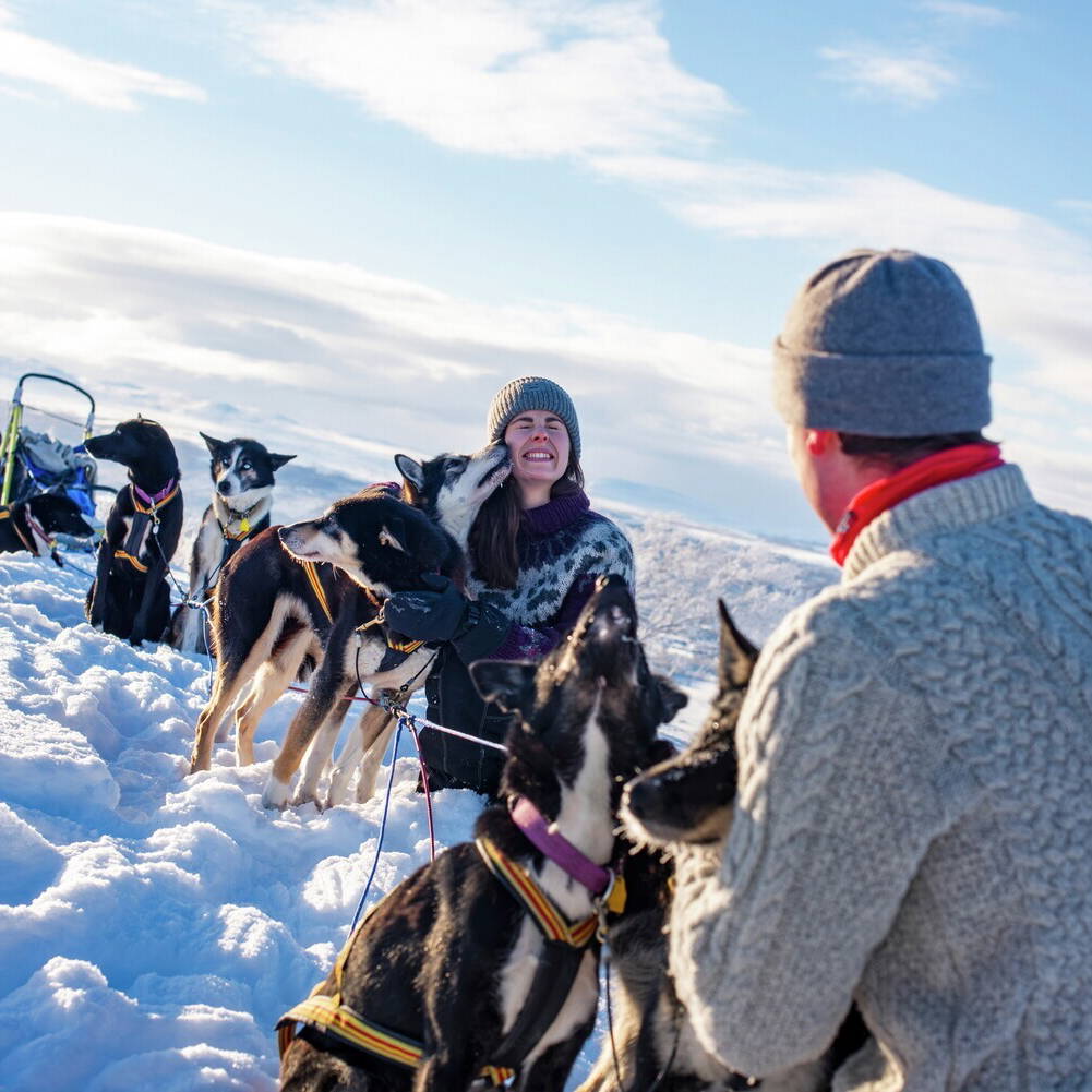 Hundekjøring på Rørosvidda | Eventyrlige turer i fjellet – Røroshotellene