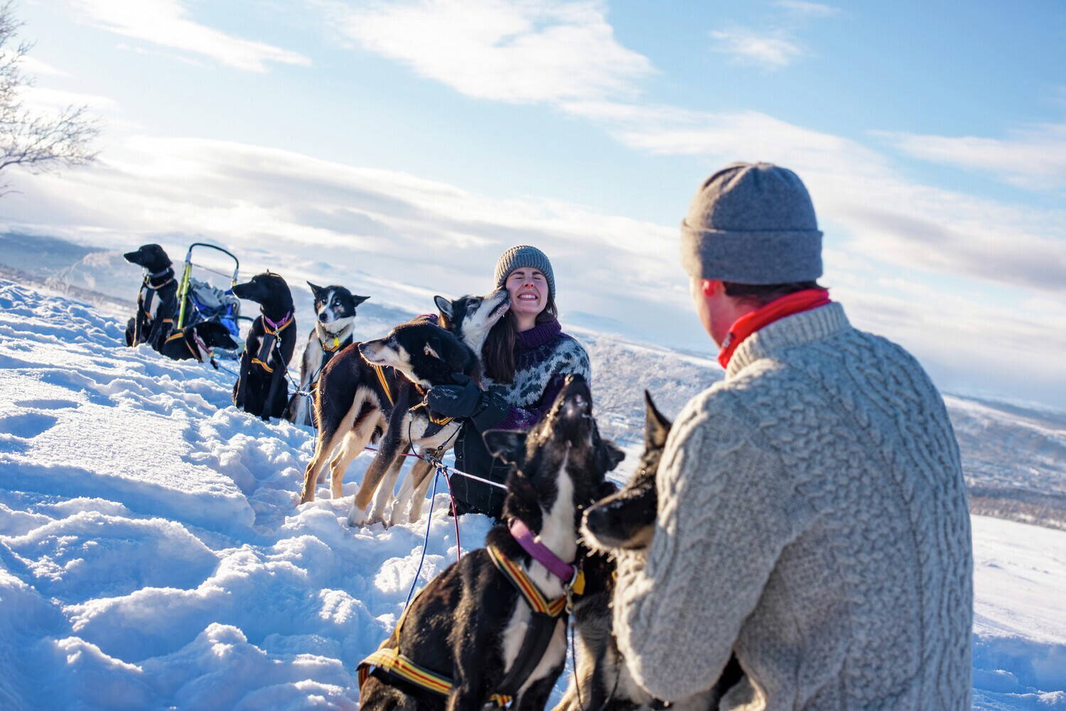 Dog Sledding on Rørosvidda Scenic Mountain Adventures