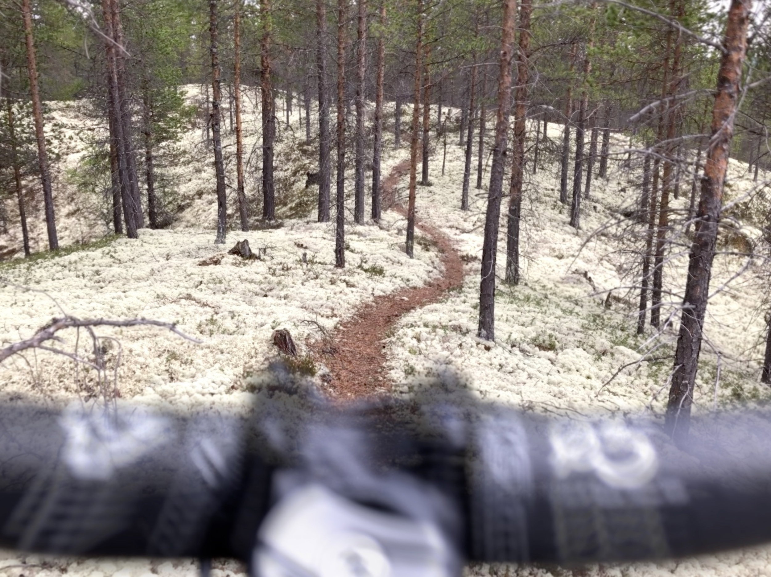 Guidet sykkeltur på Røros | Utforsk fjell og skogstier – Røroshotellene