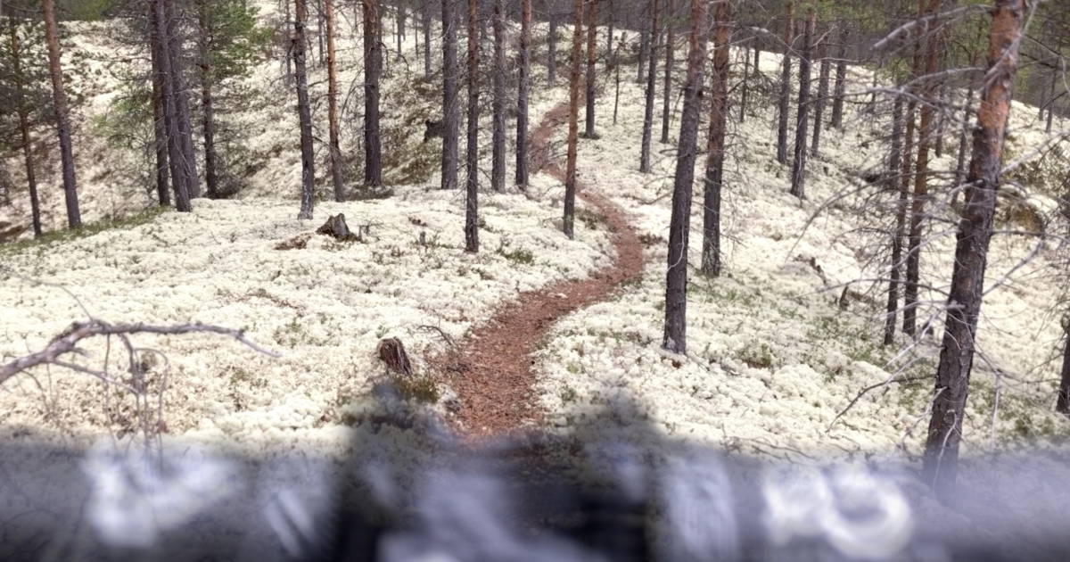 Guidet sykkeltur på Røros | Utforsk fjell og skogstier – Røroshotellene